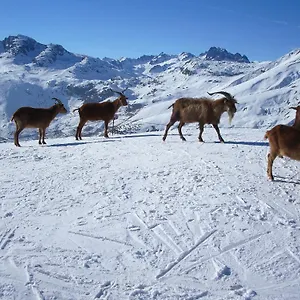 https://chambre-dhotes-kiki-coco.hotels-rhonealpes.com